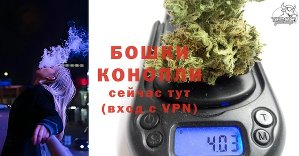 сатива Покачи